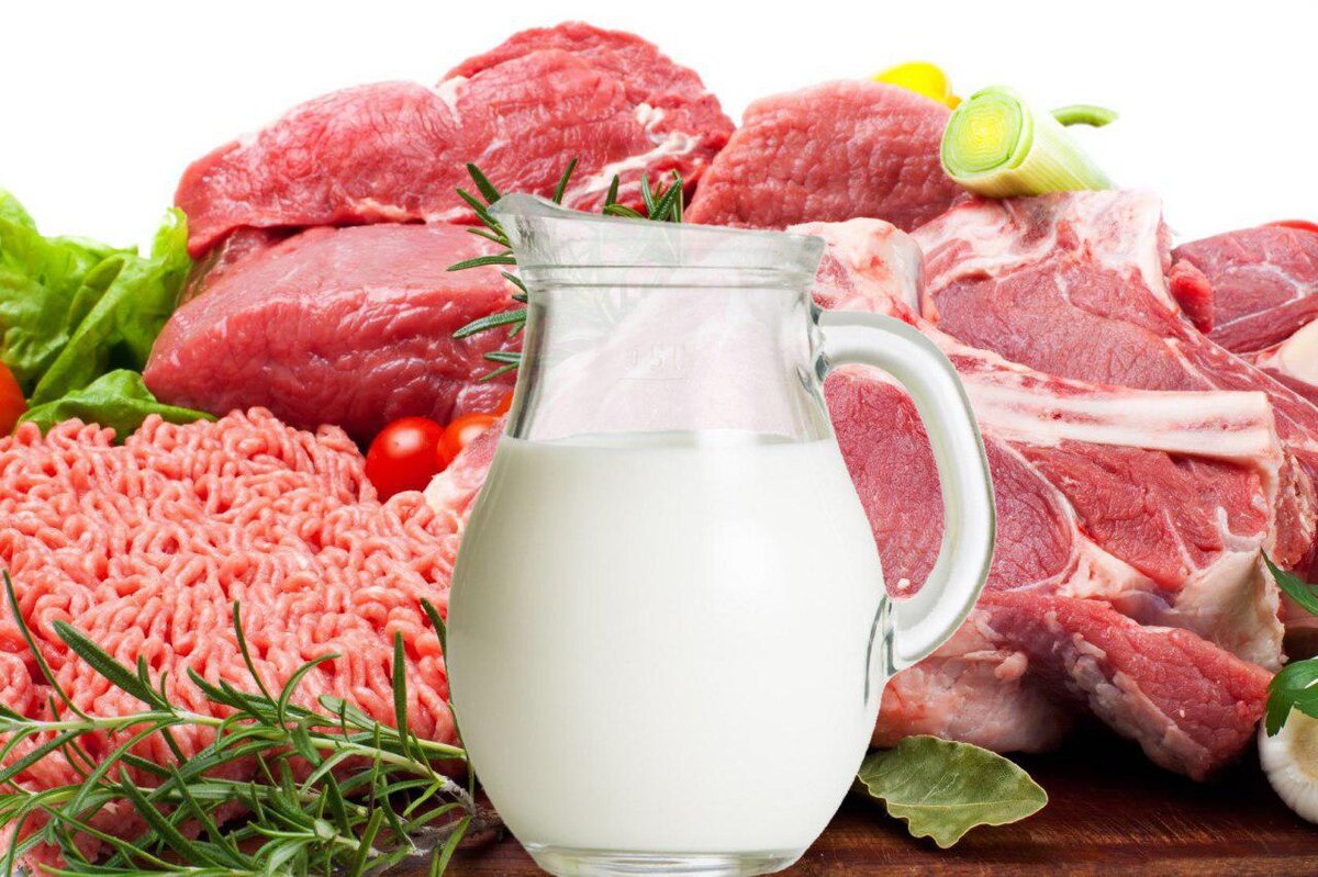 Молочные и мясные продукты. Продукты животноводства. Мясо и молоко. Мясо-молочная продукция.