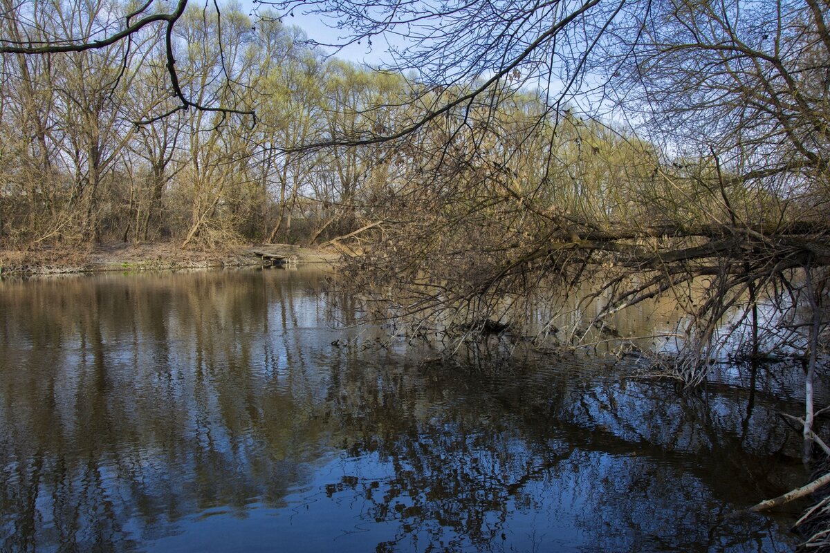 Фото автора канала