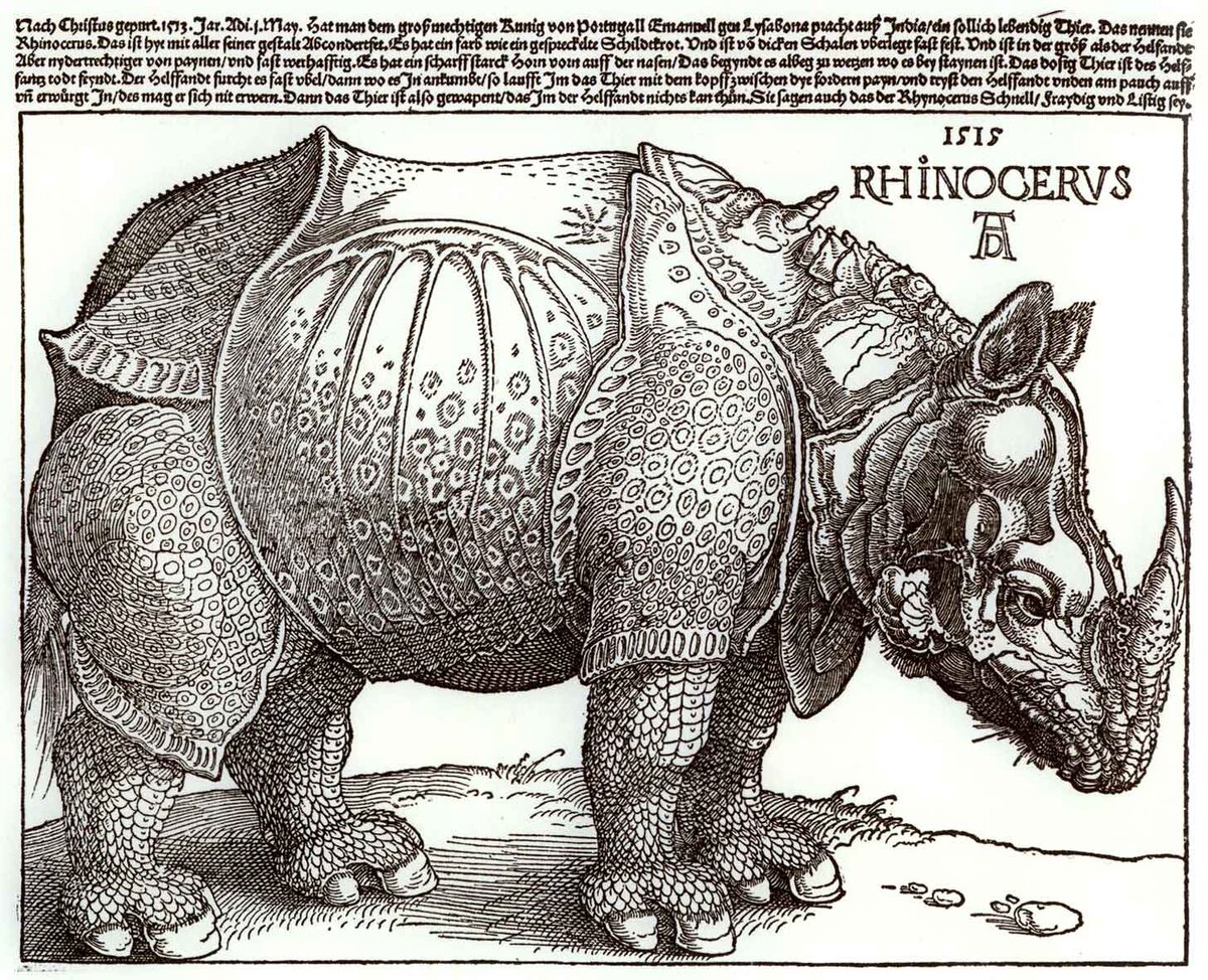 Открытка "Носорог", авт. Альбрехт Дюрер, 1515, гравюра на дереве - Лондон, издание Британского музея, 2010. Фото из архива коллекции "Фарфоровый заповедник"