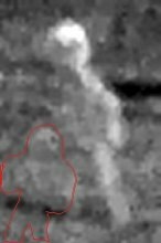 1 из 3Увеличение фотографии. Листайте вправо.