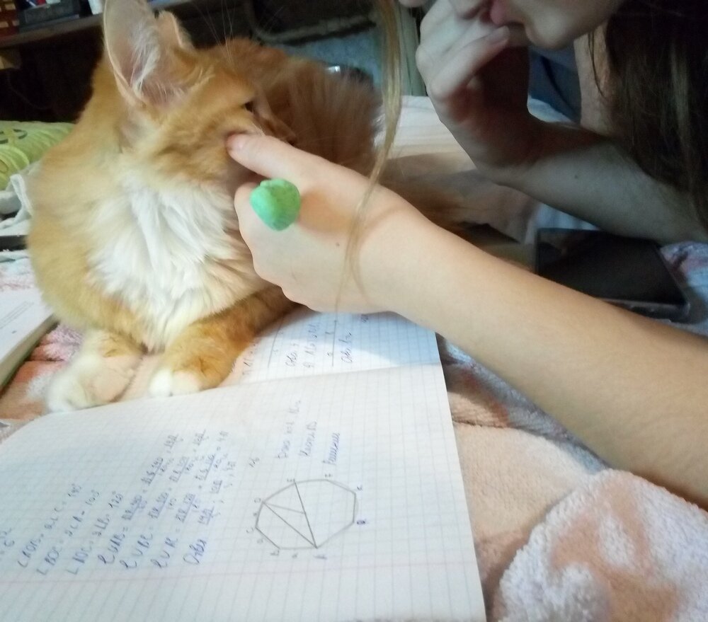 Фото из архива редакции журнала "Большая переменка"