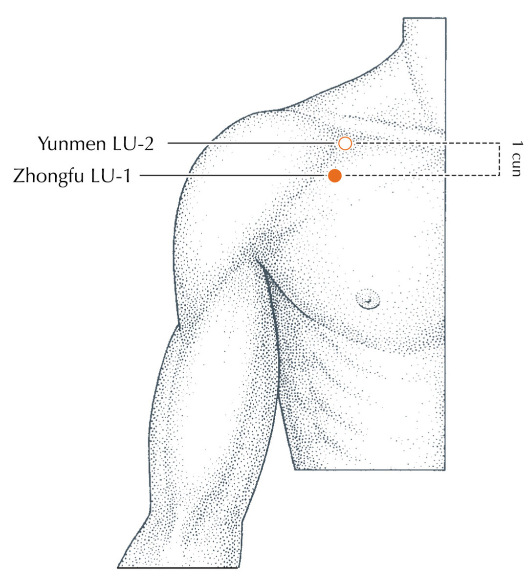 Болевые точки у человека на теле схема. Аккупунктура и аккупунктурные точки на теле человека. Болевые точки. Болевые точки человека схема. Как выглядит 1 точка.