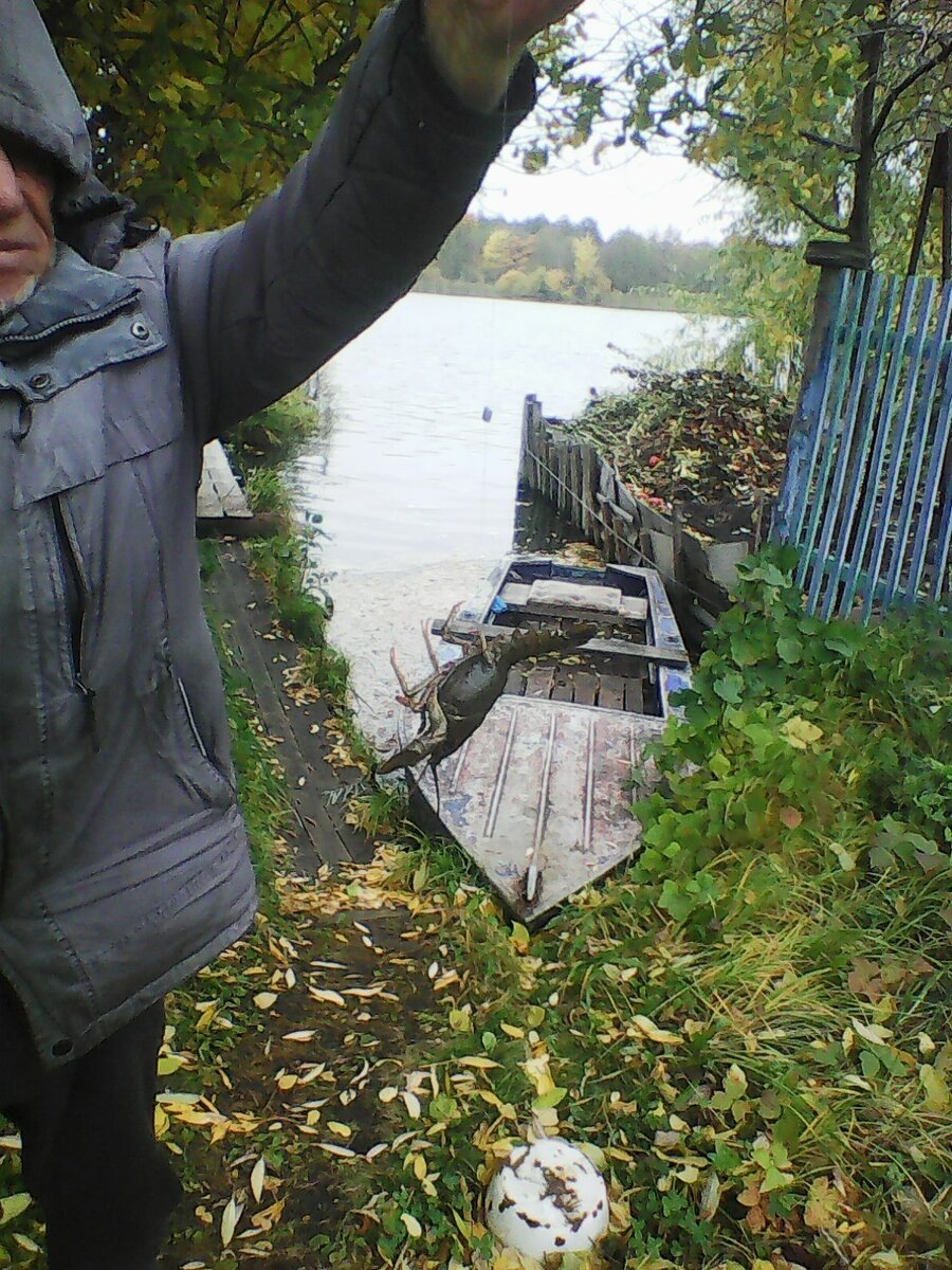 мой отец, поймал рака на удочку