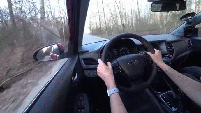 Лиса Рулит. За рулем Hyundai Solaris