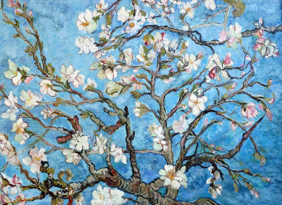 Almond blossom. Винсент Ван Гог ветка миндаля. Van GOG cvetushie vetki mindalini. Винсент Ван Гог цветущие ветки миндаля 1890. Цветущие яблони Ван Гог.