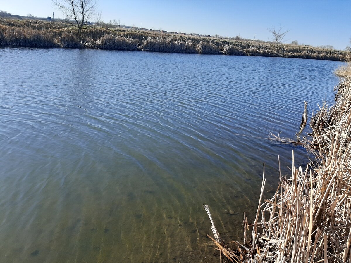 Весенняя река