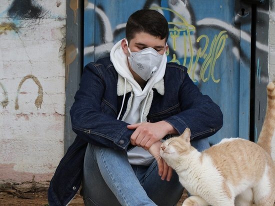 фото: pixabay.com