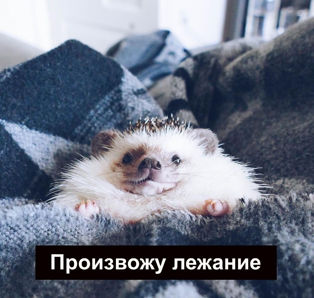 Фото из интернета. Это я, но повеселее.
