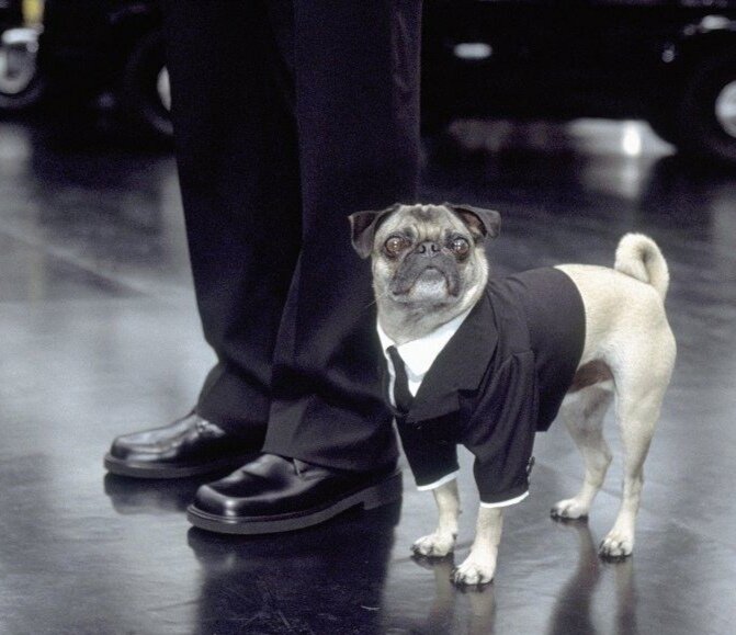 Фото из фильма "Люди в черном"