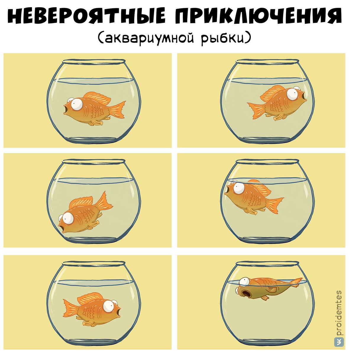 Приколы про аквариумных рыбок