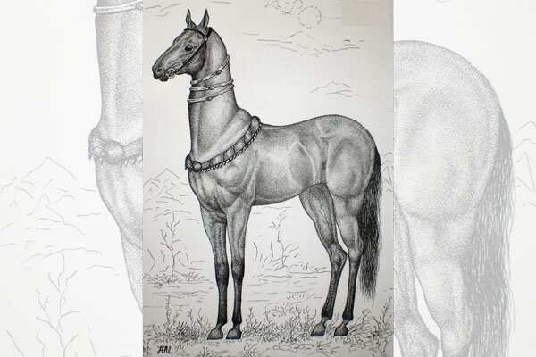 Источник фото https://flomaster.club/7478-ahaltekinskaja-loshad-risunok-50-foto.html