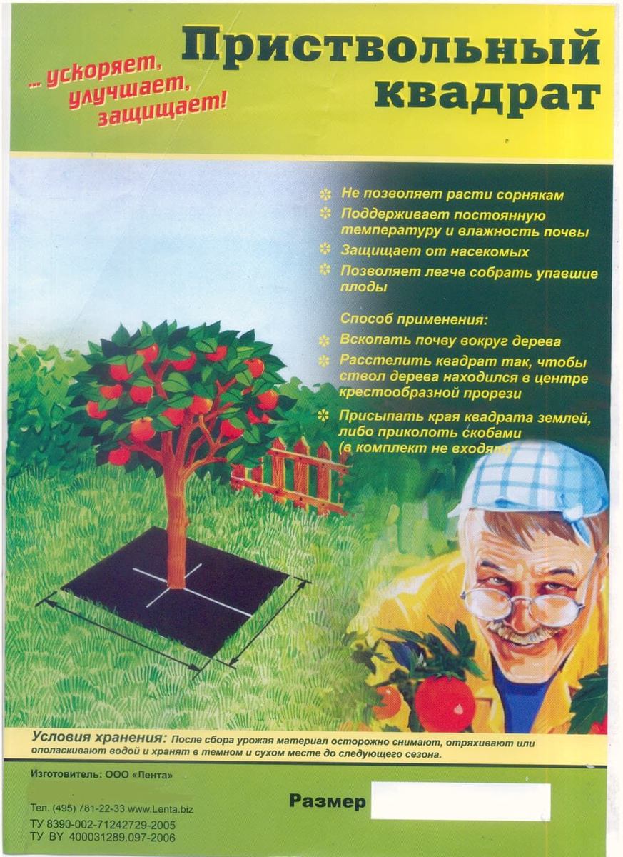 картинка с Яндекса