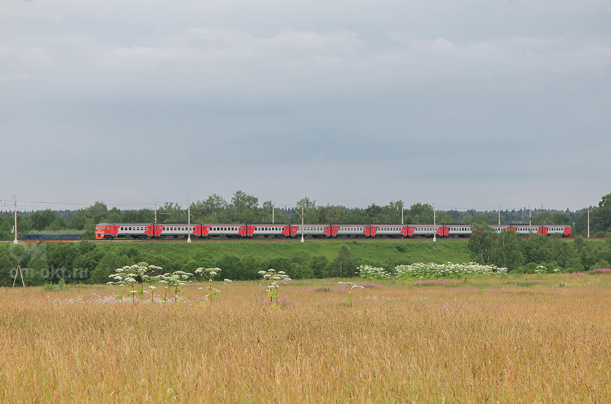 Головково подсолнечная сегодня. Головково подсолнечная сегодня. Головково подсолнечная сегодня. Платформа головково. Головково подсолнечная сегодня.