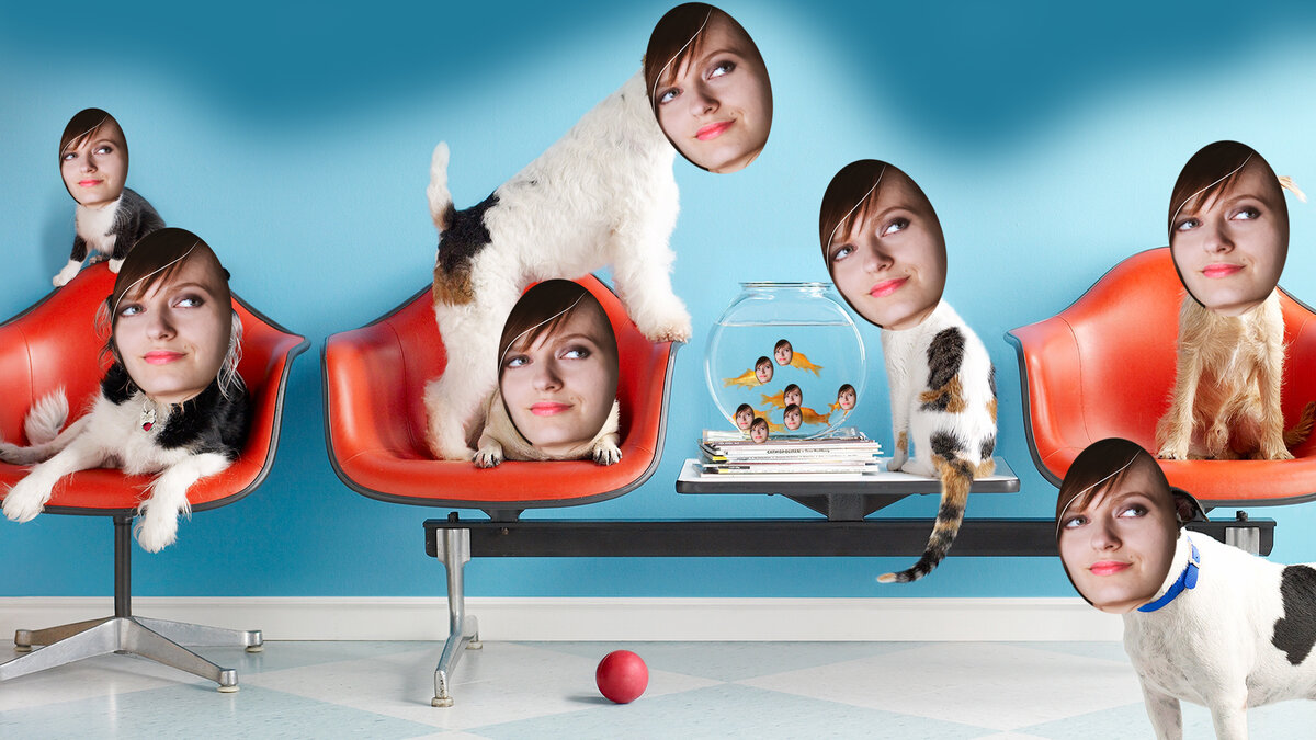 Ставьте лайк и подписывайтесь на канал