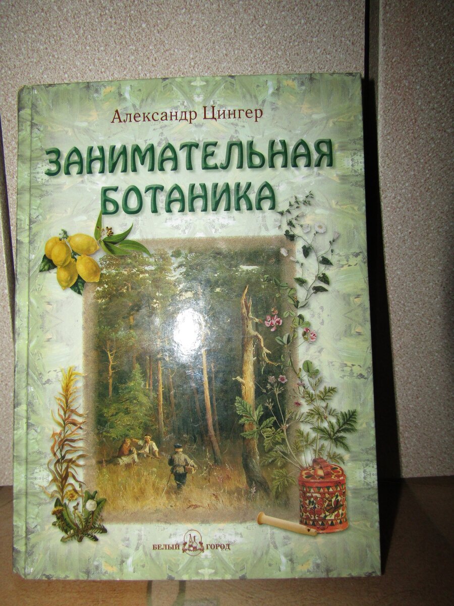 Занимательная ботаника для малышей. Цингер ботаника. Учебник ботаники. Книга Занимательная ботаника Цингер. Занимательная ботаника для школьников.