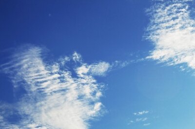 Image courtesy of RK1979 at FreeDigitalPhotos