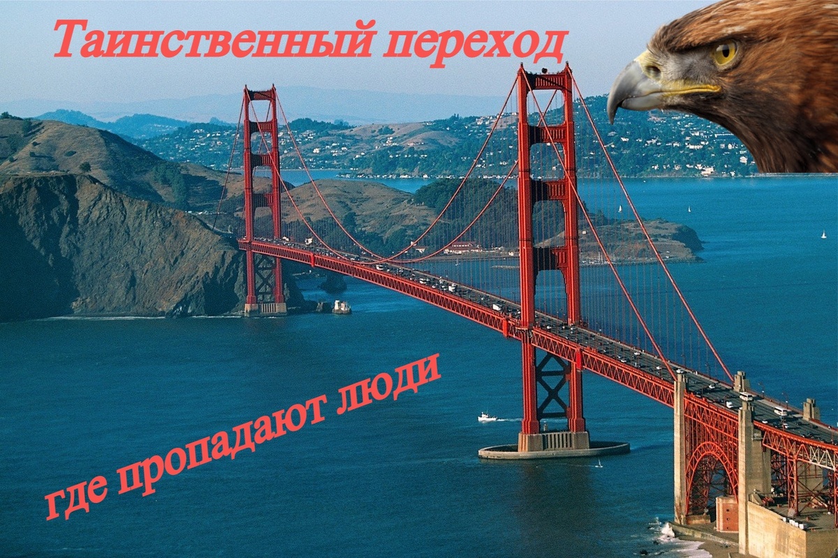 Если слова и дела не расходятся, то возможности и силы находятся