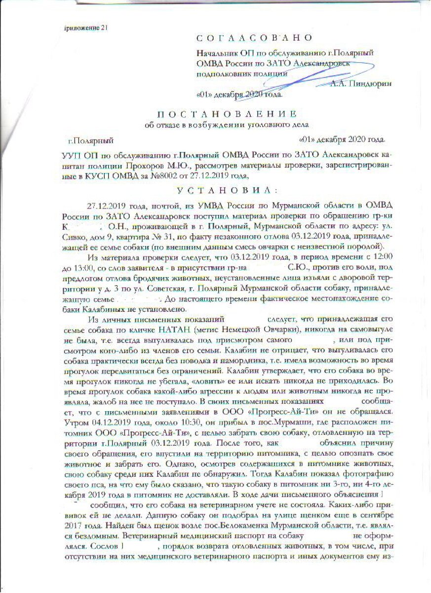 Власти всех рангов и систем в ступоре от моего одного вопроса! (Часть 3) |  Сергей Сергеев | Дзен