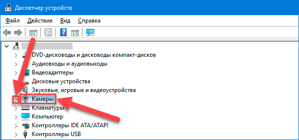 Драйвер на веб камеру windows 10