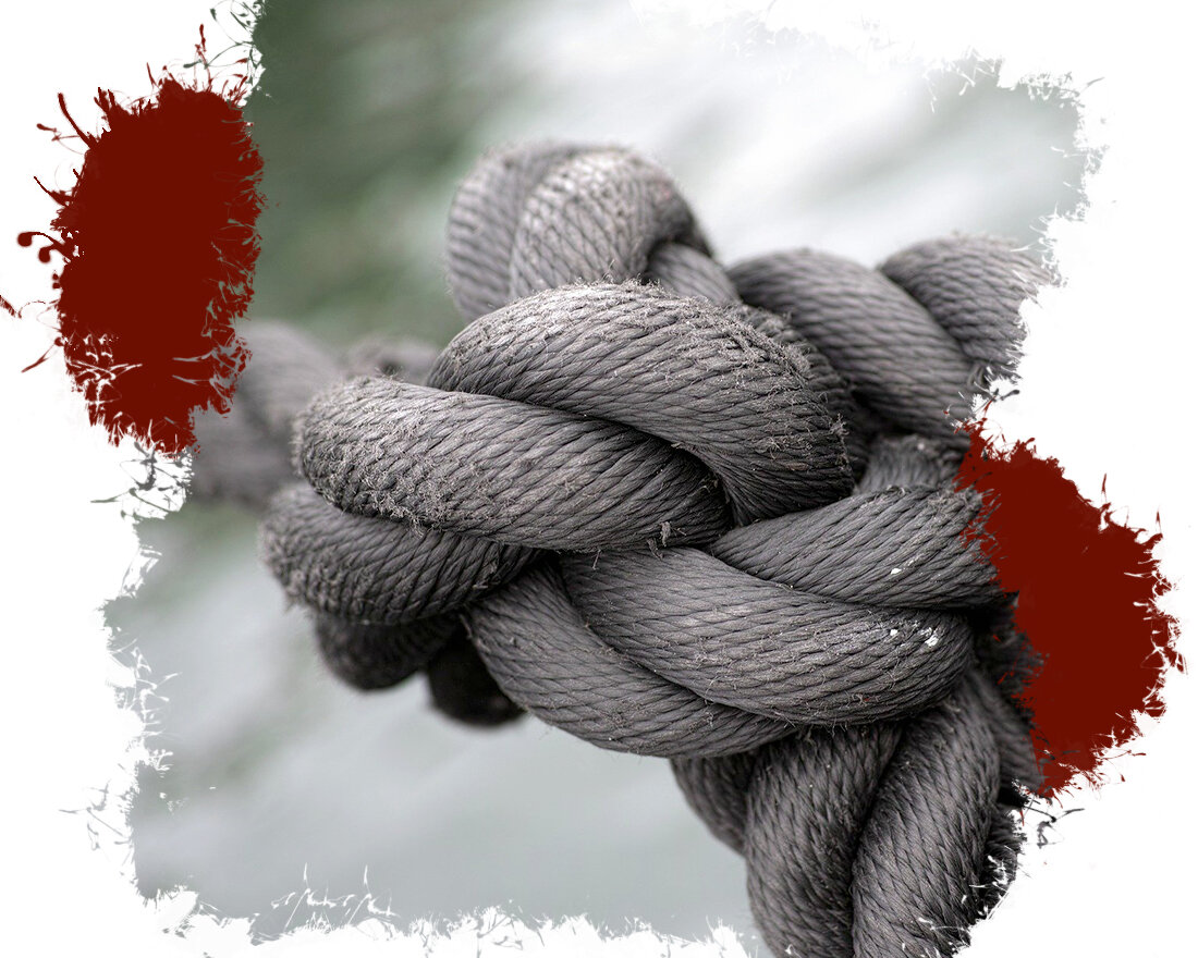 1. Image by Engin Akyurt from Pixabay 