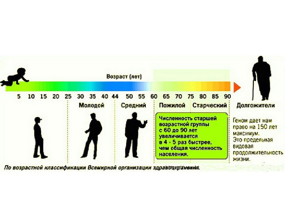 С какого возраста человек