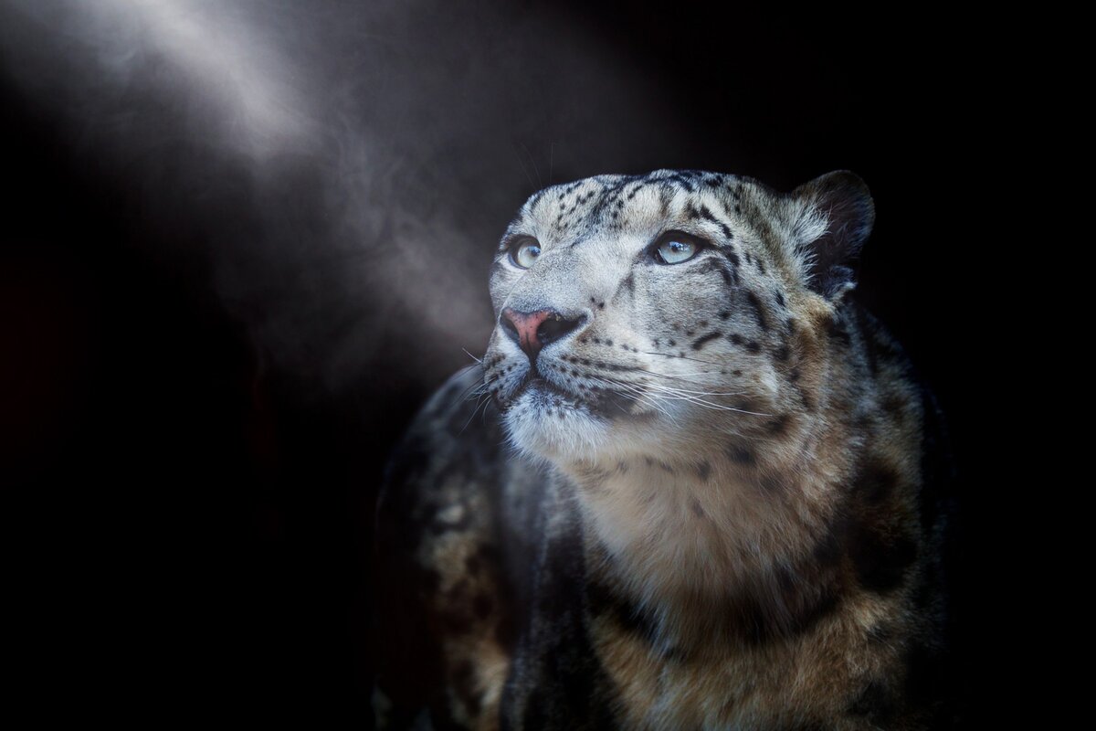 Фото: Олег Богданов, участник фотоконкурса РГО «Самая красивая страна»