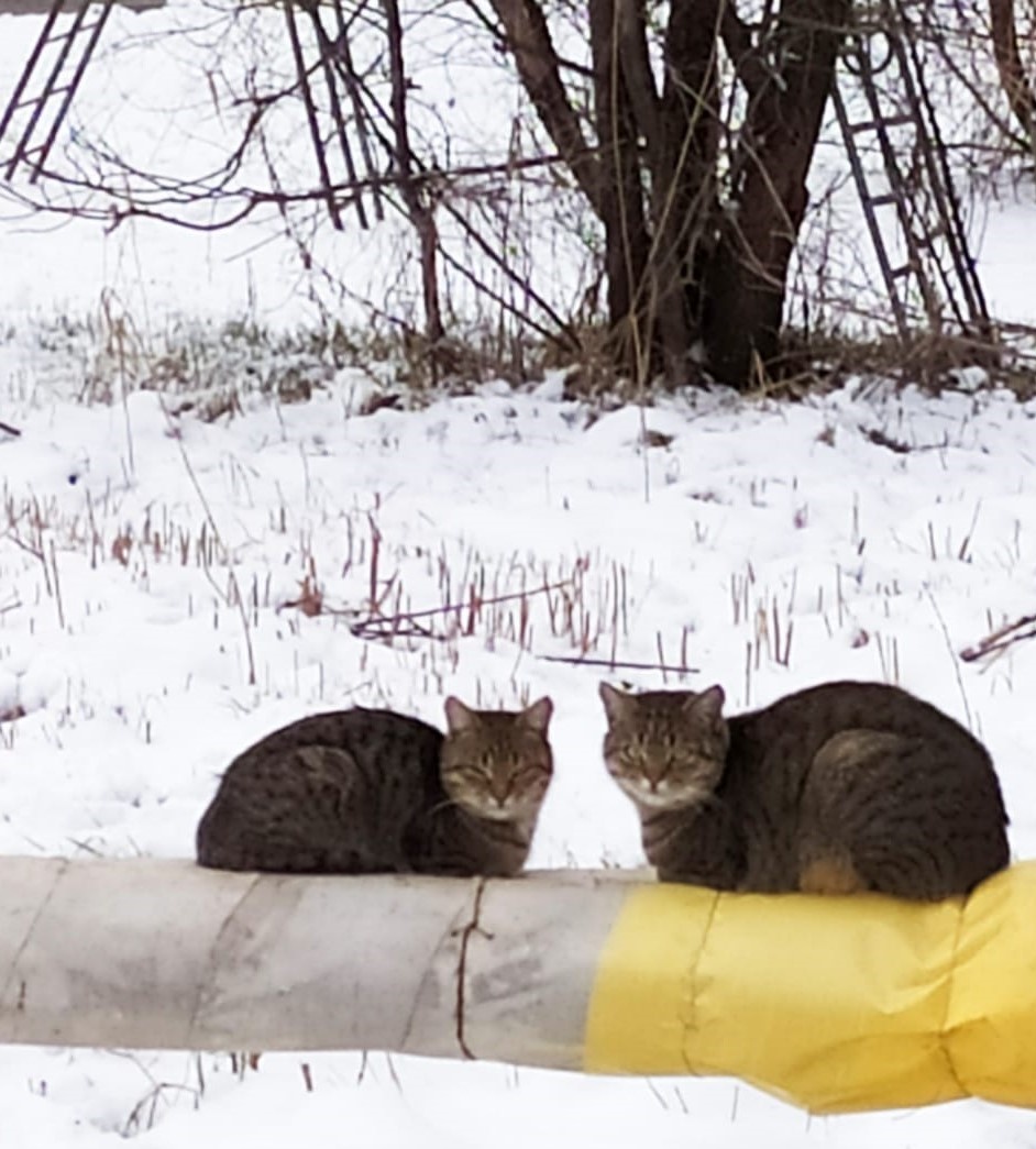 Наблюдательный пункт.