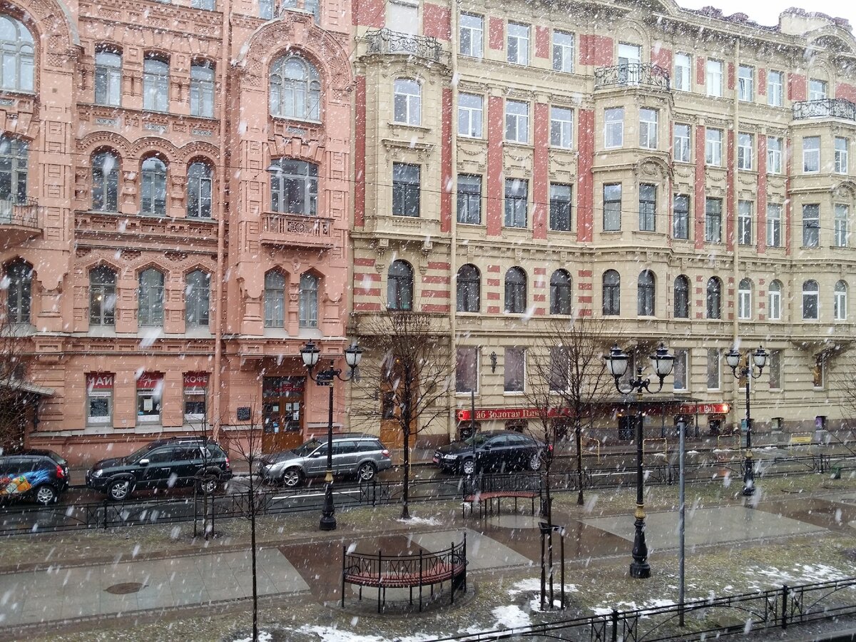 Вид из моего окна