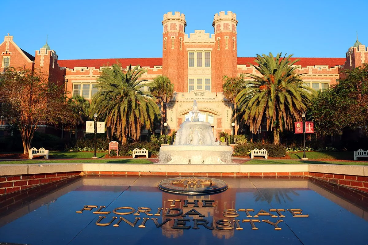 University of florida