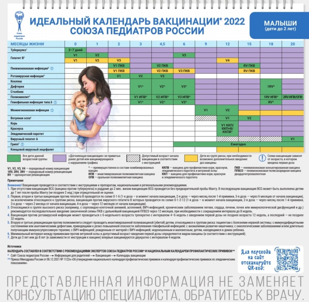 Календарь прививок на 2024 год в россии