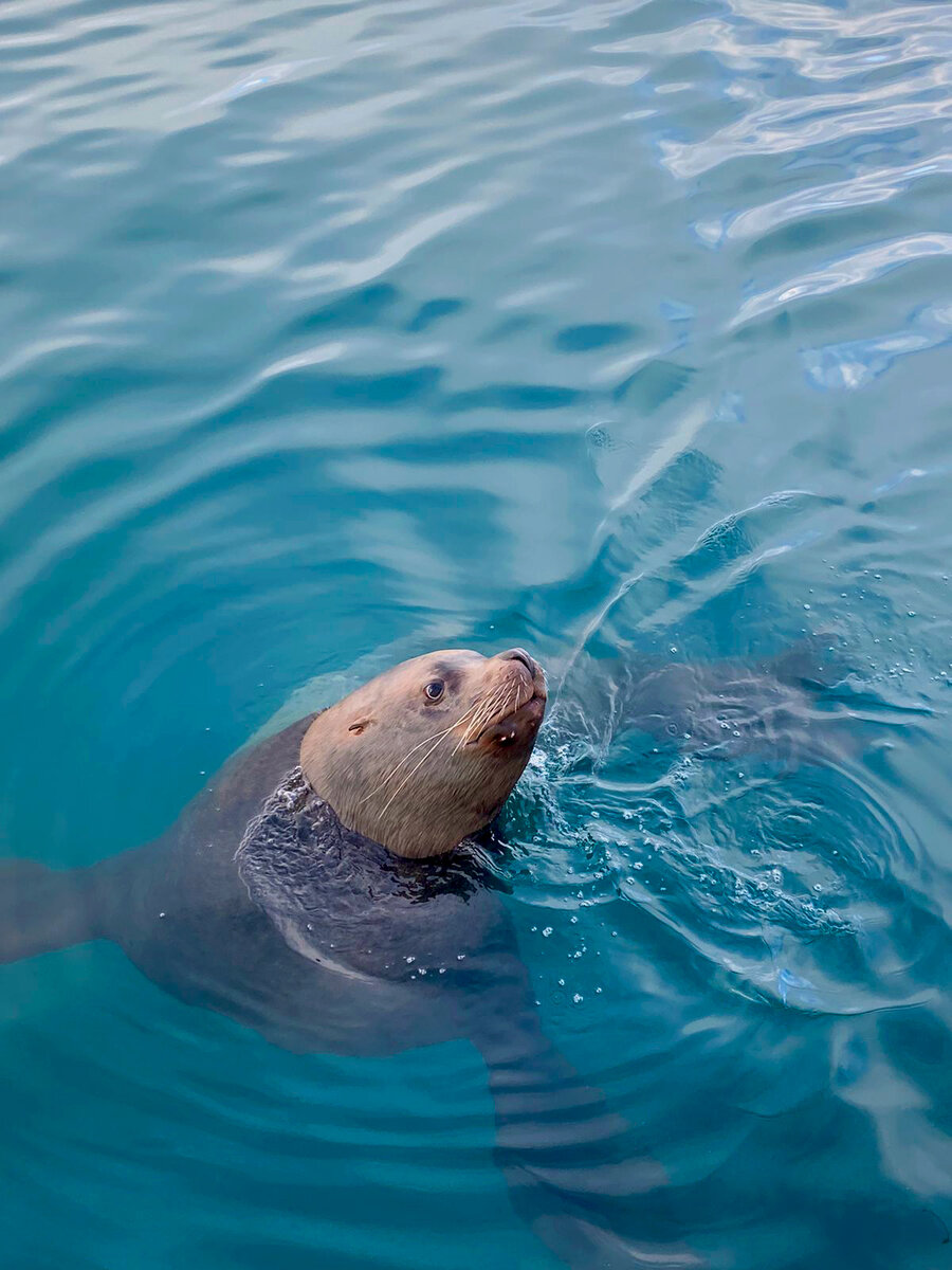 Фото: https://www.instagram.com/mironov.travel