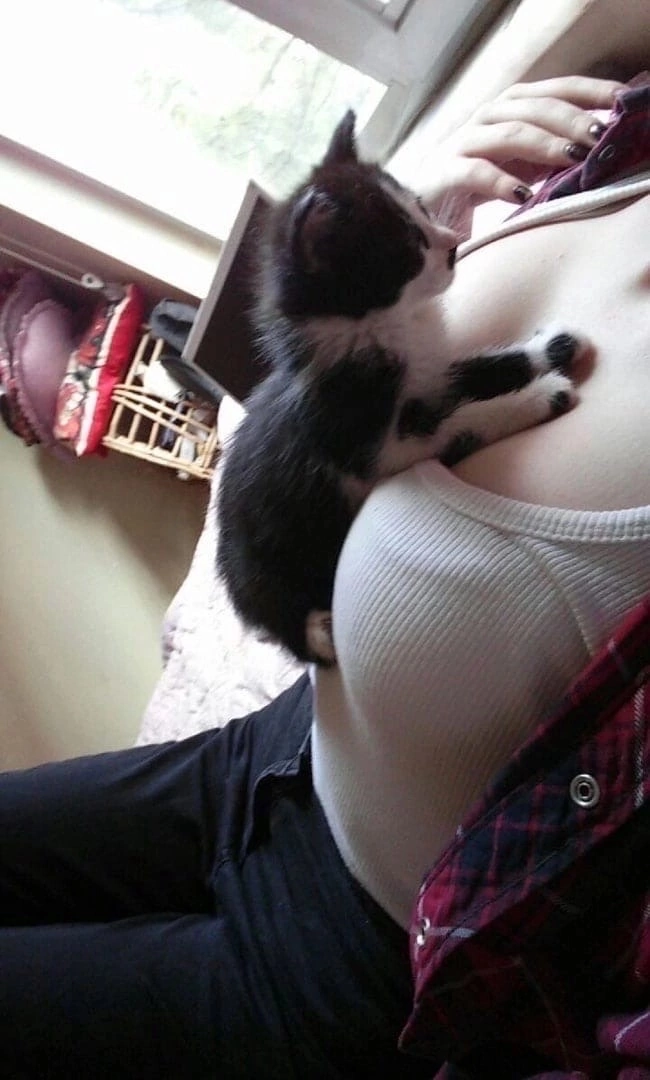 это чисто для обложки)