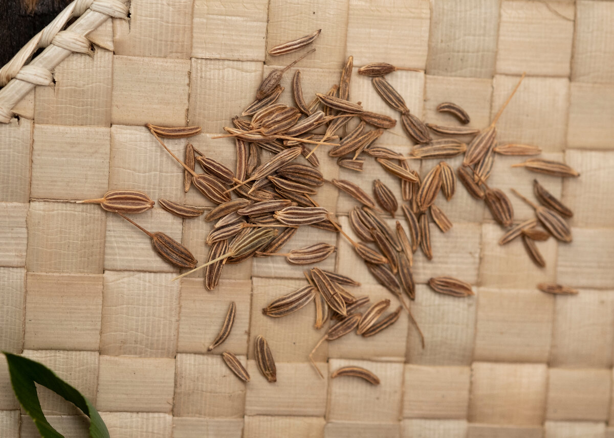 Семена тмина.