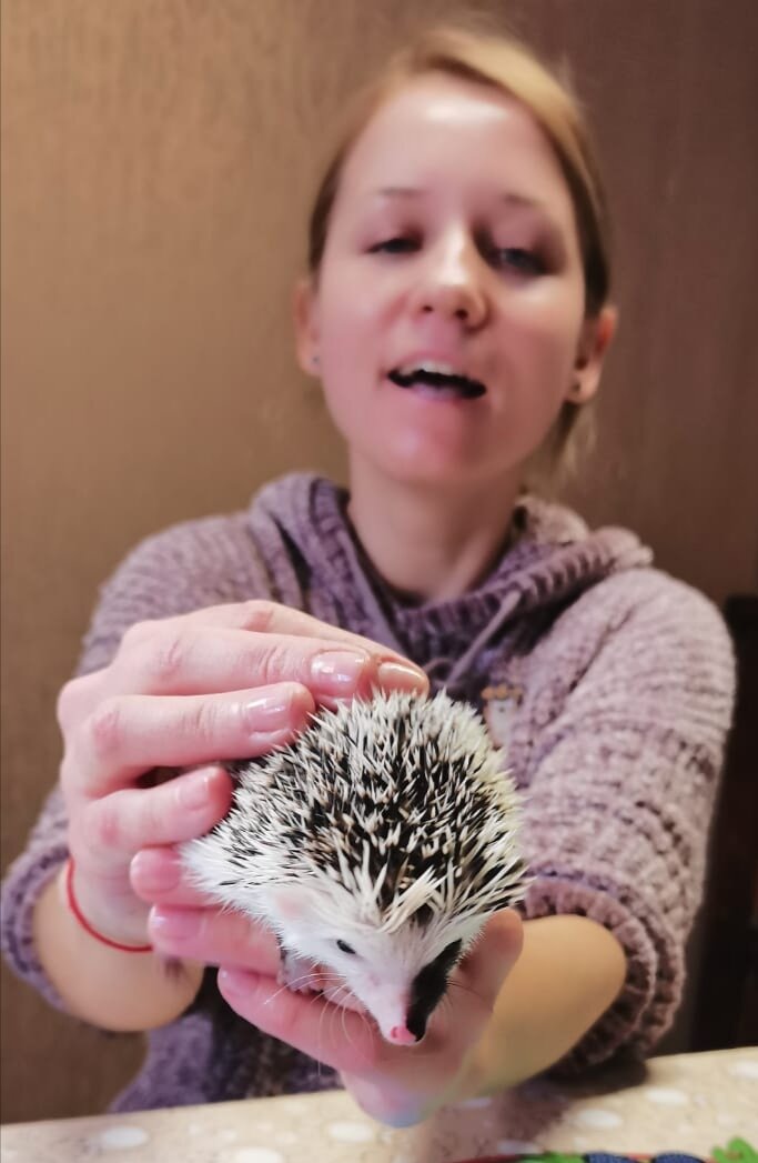 Ёжики - очень контактные звери