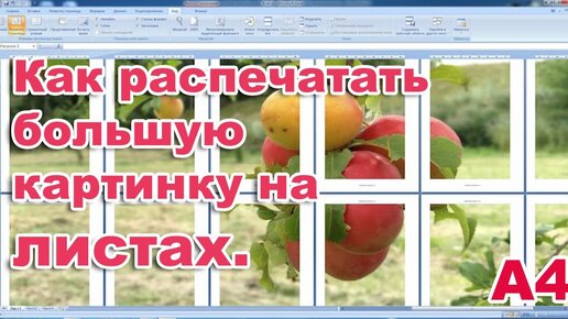 Как распечатать большой рисунок на нескольких А4: особенности печати больших форматов