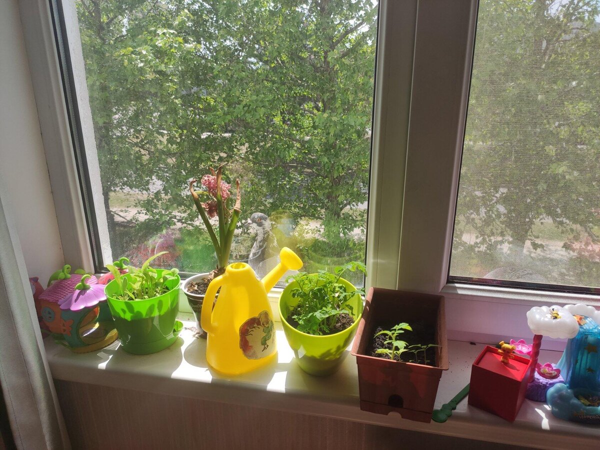 2020 год (посмотрите внимательно за окно =) )