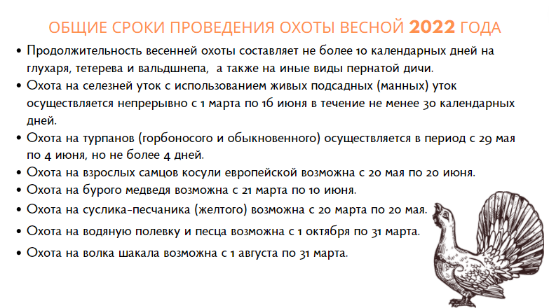 Обеспечение благоприятной среды для продолжения жизнедеятельности животных