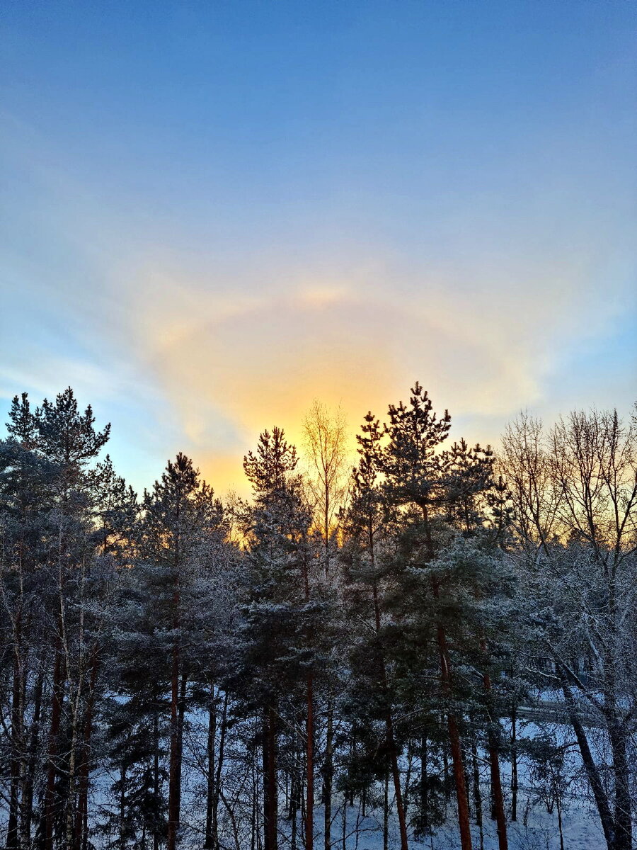фото из личного архива. Гало 21.12.2021 г. Кингисепп