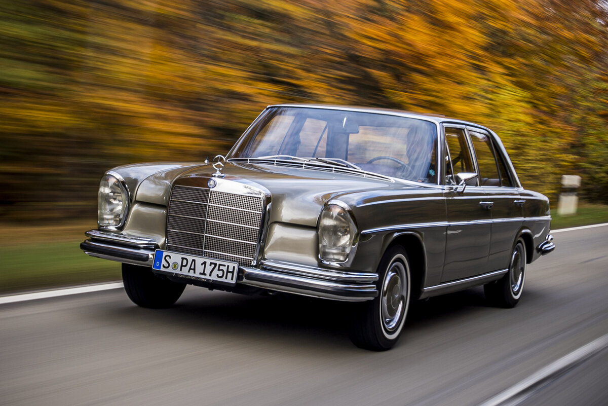    Mercedes-Benz 250 SE, одна из младших моделей в линейке W108 — машина 1965 года, предшественник нашего юбиляра