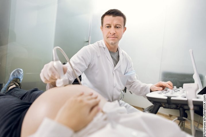 Источник: shutterstock.com