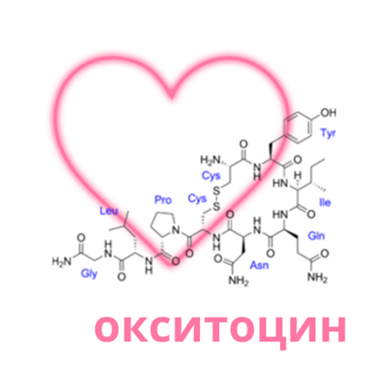 Воздействие окситоцина на организм