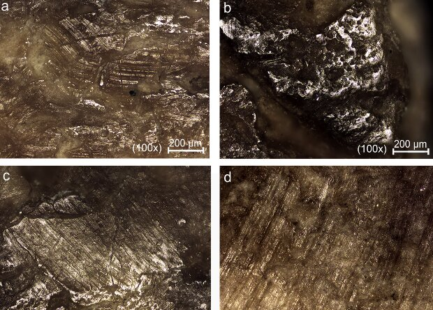 Микрофотографии поверхности кости 
Marion Prevost et al. / Quaternary International, 2022