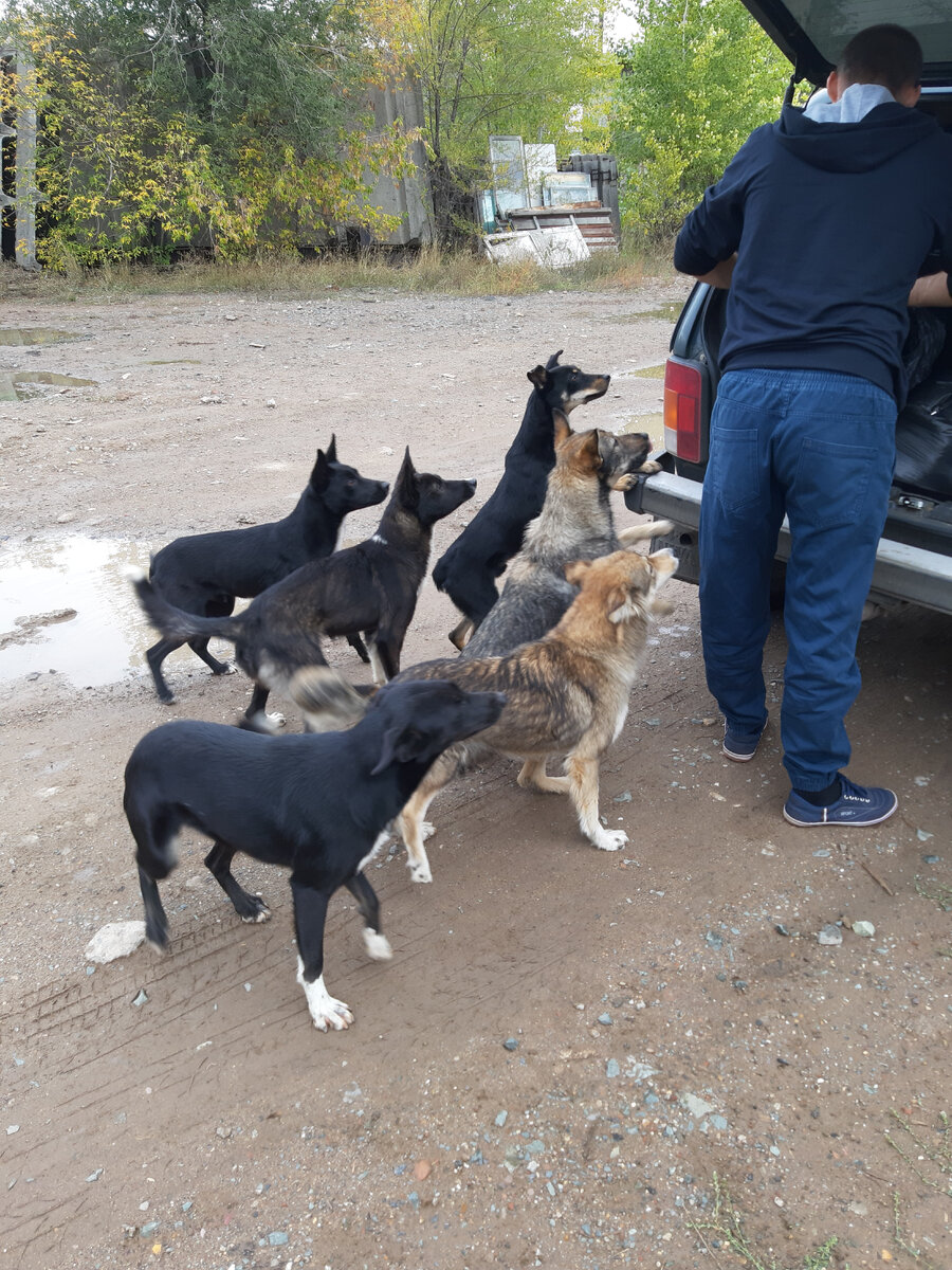 Наши друзья на кормёжке 