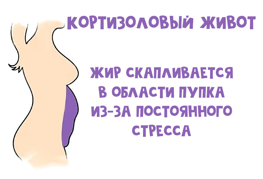 Кортизоловый жир. Типы женских животов. Как убрать кортизоловый живот у женщины. Стрессовый жир. Женский гормональный живот.