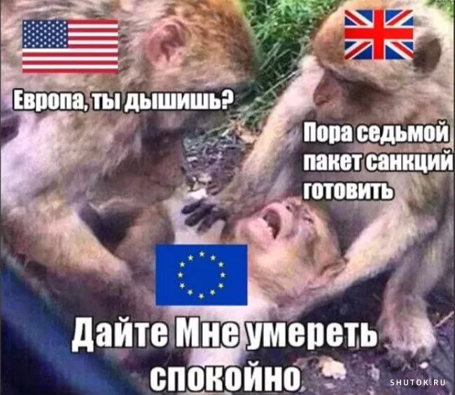 взято из свободных источников
