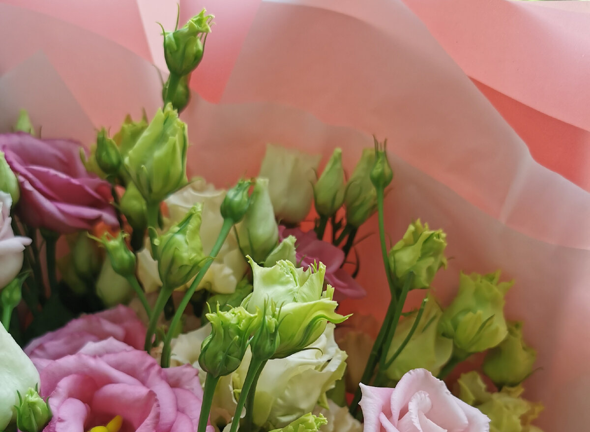 Какой бы красивой ни была упаковка, выбрасывайте!