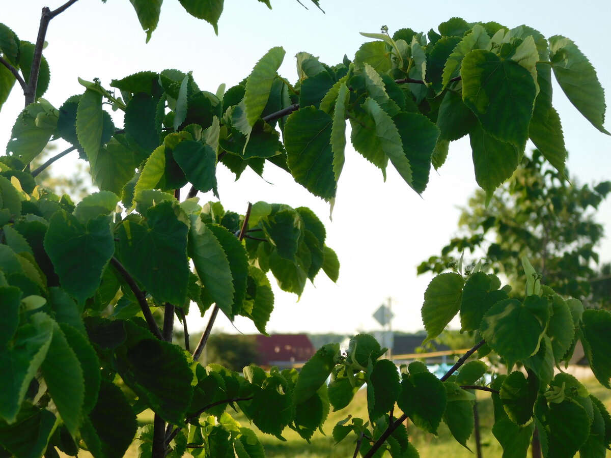 Фото автора канала