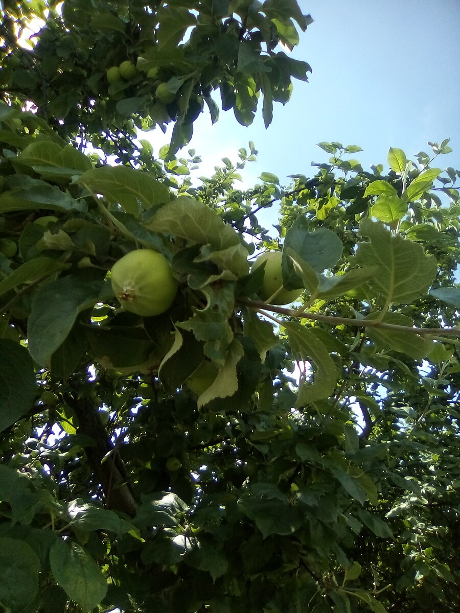 Автор фото: Кирилл Репьев 