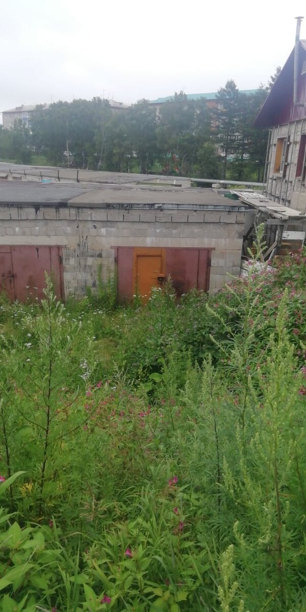 Фото подписчика