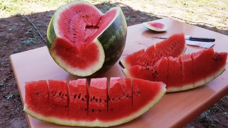 Астраханские арбузы